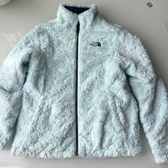 The North Face - Girls Reversible Mossbud Swirl Jacket Sz XL - Picture 1 of 14